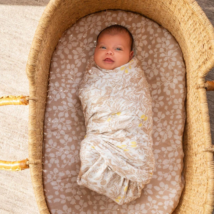 Aden and anais silky swaddle best sale