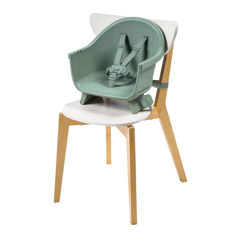 Bambinista - MAXI COSI - Home - MAXI COSI Moa 4 - in - 1 High Chair - Beyond Green2 ECO