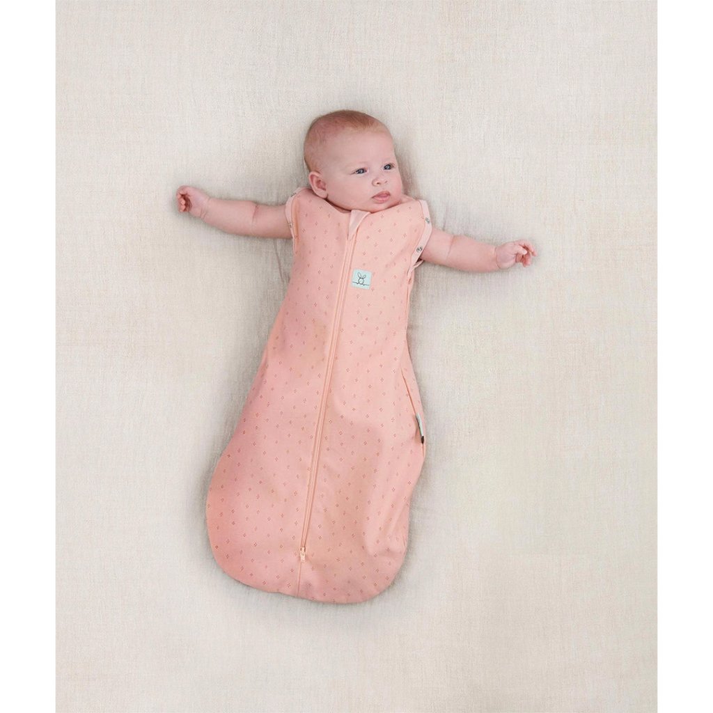 Bambinista-ERGOPOUCH-Blankets-ergoPouch - Cocoon 1TOGos Swaddle Bag - Berries