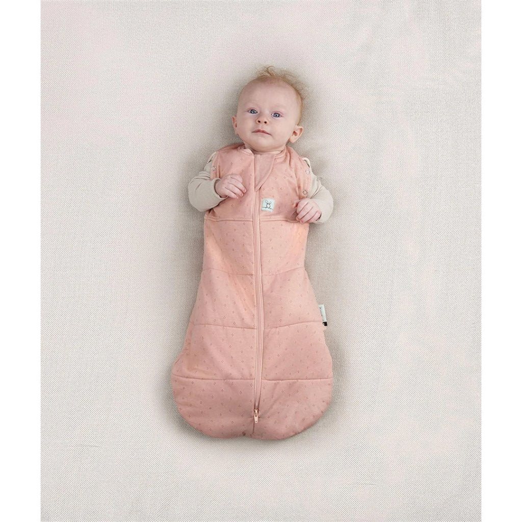 Bambinista-ERGOPOUCH-Blankets-ergoPouch - Cocoon 2.5TOG Swaddle Bag - Berries