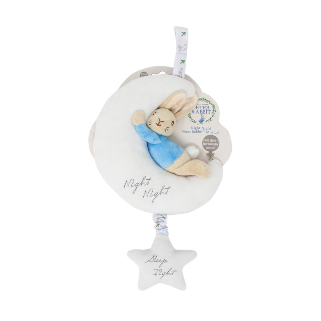 Bambinista-RAINBOW DESIGNS-Toys-PETER RABBIT Night Night Musical